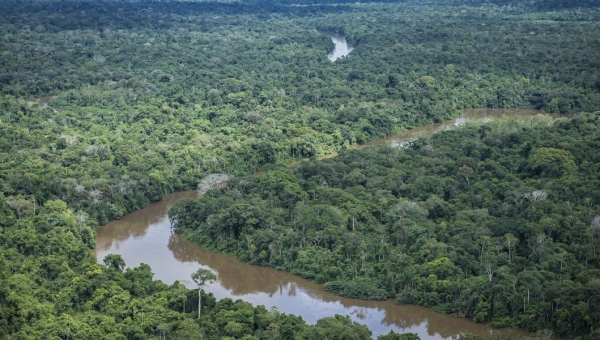 Ibama realiza megaoperação na Amazônia